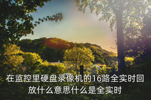 在監控里硬盤錄像機的16路全實時回放什么意思什么是全實時