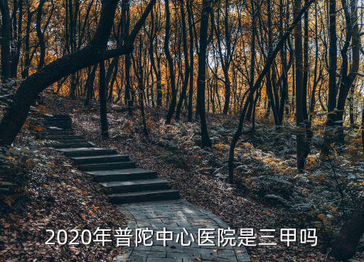上海市普陀區中心醫院是三甲醫院嗎，上海市普陀中心醫院是哪家最好
