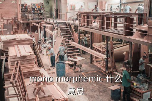mono morphemic 什么意思