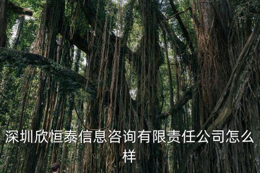 深圳恒泰資本投資管理有限公司，深圳市恒泰華盛資產管理有限公司總部地址在哪