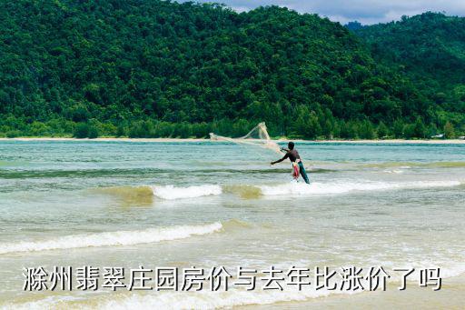 滁州翡翠莊園房價與去年比漲價了嗎