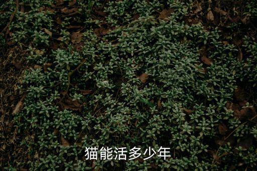 貓能活多少年