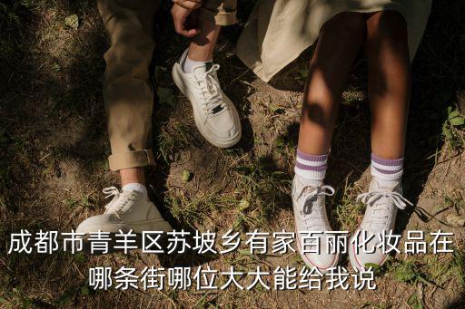 成都市青羊區(qū)蘇坡鄉(xiāng)有家百麗化妝品在哪條街哪位大大能給我說
