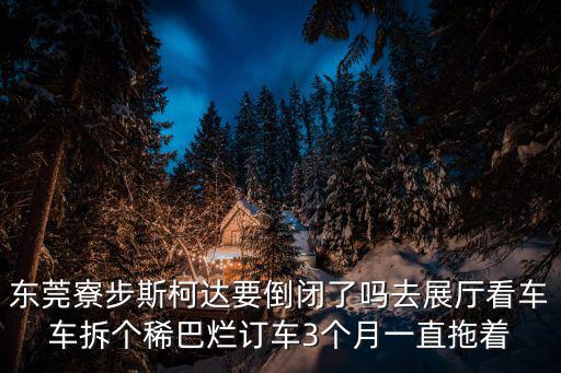 東莞寮步斯柯達(dá)要倒閉了嗎去展廳看車車拆個(gè)稀巴爛訂車3個(gè)月一直拖著