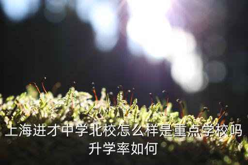 上海市進才中學校舍，上海進才中學北校怎么樣是重點學校嗎升學率如何