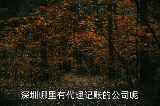 深圳哪里有代理記賬的公司呢