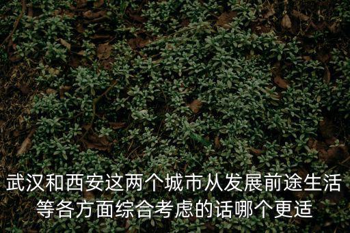武漢和西安這兩個城市從發展前途生活等各方面綜合考慮的話哪個更適