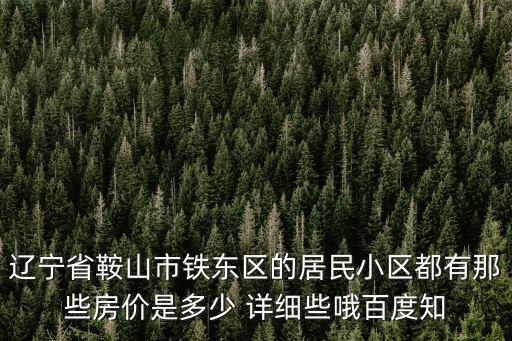 遼寧省鞍山市鐵東區(qū)的居民小區(qū)都有那些房價是多少 詳細些哦百度知