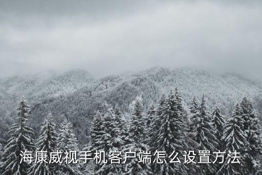 海康威視手機客戶端怎么設置方法
