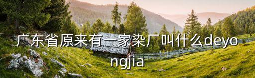 廣東省原來有一家染廠叫什么deyongjia