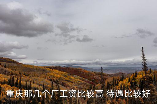 重慶那幾個廠工資比較高 待遇比較好