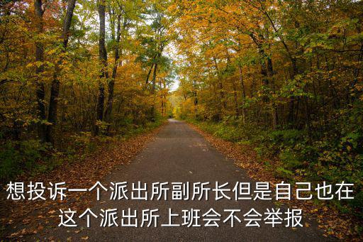 想投訴一個派出所副所長但是自己也在這個派出所上班會不會舉報