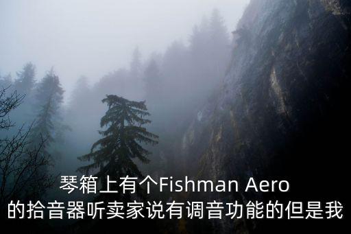 琴箱上有個Fishman Aero的拾音器聽賣家說有調音功能的但是我