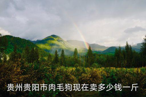 土狗帶毛多少錢一斤，貴州貴陽市肉毛狗現在賣多少錢一斤