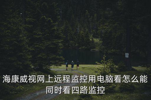 海康威視網上遠程監控用電腦看怎么能同時看四路監控