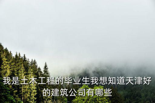 天津市土木工程排名，我是土木工程的畢業生我想知道天津好的建筑公司有哪些