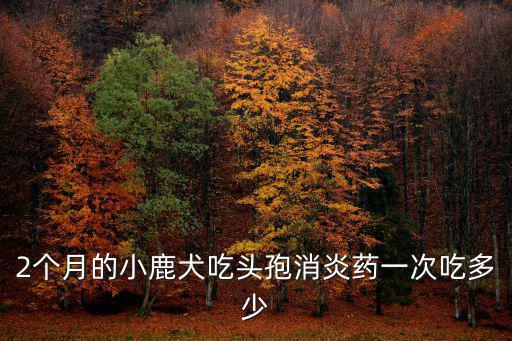 狗狗吃消炎藥吃多少，幼犬金毛狗感冒吃消炎藥要吃多少