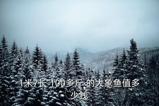 1米7長 100多斤 的大象魚值多少錢