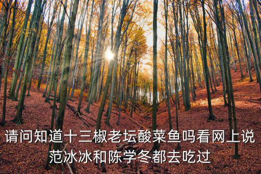 廣州川游記老壇酸菜魚，各位壇友請問老壇酸菜魚地點(diǎn)在哪里啊