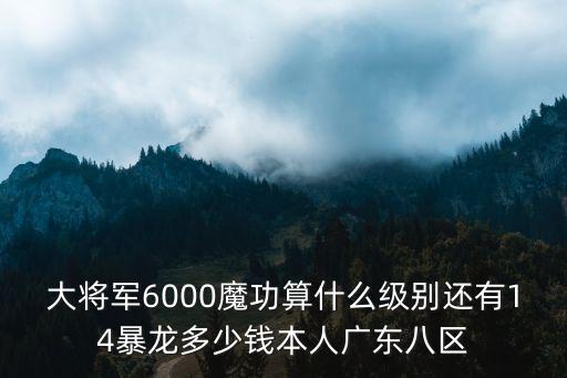 大將軍6000魔功算什么級別還有14暴龍多少錢本人廣東八區