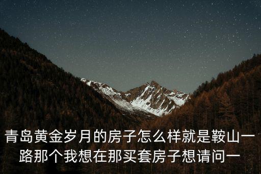 青島黃金歲月的房子怎么樣就是鞍山一路那個我想在那買套房子想請問一