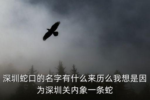 大年初一深圳蛇口，深圳蛇口的名字有什么來歷么我想是因為深圳關內象一條蛇