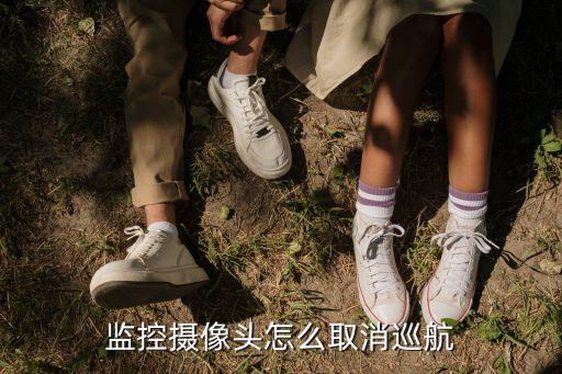 監(jiān)控?cái)z像頭怎么取消巡航