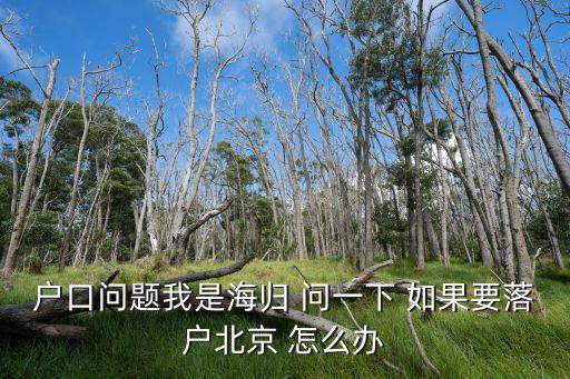 戶口問題我是海歸 問一下 如果要落戶北京 怎么辦