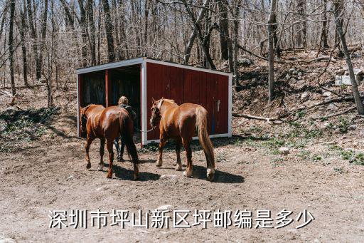深圳坪山龍田街道郵編是多少，深圳市坪山新區坪郵編是多少