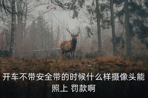 開車不帶安全帶的時候什么樣攝像頭能照上 罰款啊