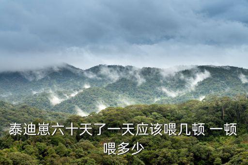 泰迪崽六十天了一天應(yīng)該喂幾頓 一頓喂多少