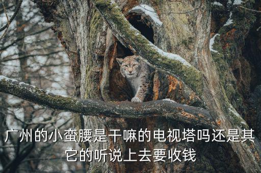 廣州小蠻腰上打廣告怎么收費的，廣州的小蠻腰是干嘛的電視塔嗎還是其它的聽說上去要收錢