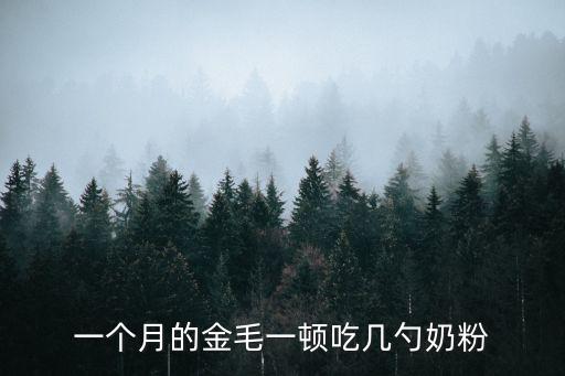 一個月的金毛一頓吃幾勺奶粉