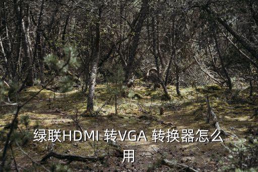 綠聯HDMI 轉VGA 轉換器怎么用