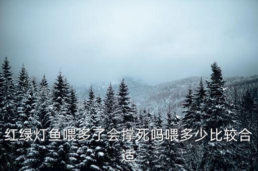 紅綠燈魚喂一次多少，15條紅綠燈魚喂多少