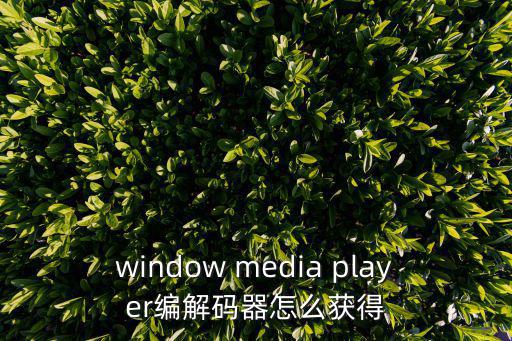 window media player編解碼器怎么獲得