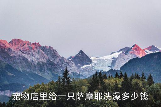 薩摩狗洗澡多少錢50天，薩摩犬在外面洗一次澡多少錢