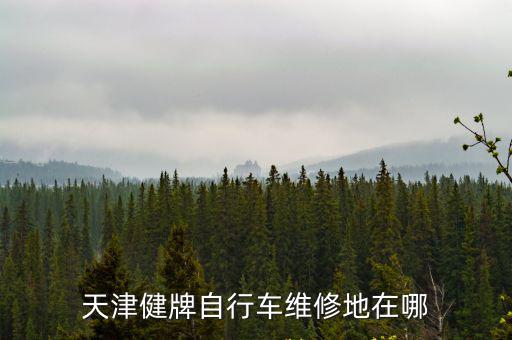 天津健牌自行車維修地在哪