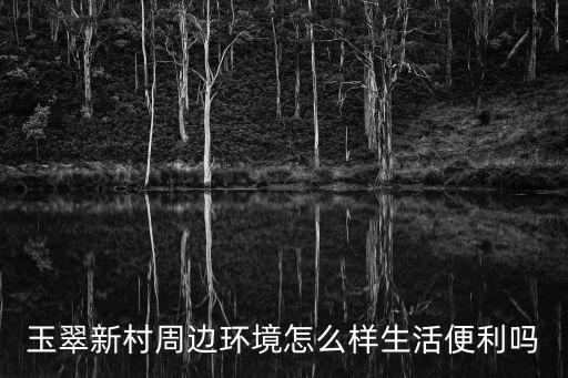 玉翠新村周邊環(huán)境怎么樣生活便利嗎