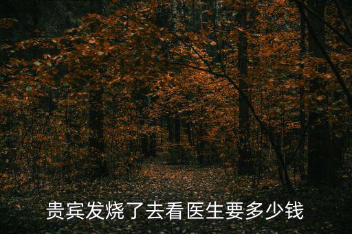 貴賓發(fā)燒了去看醫(yī)生要多少錢
