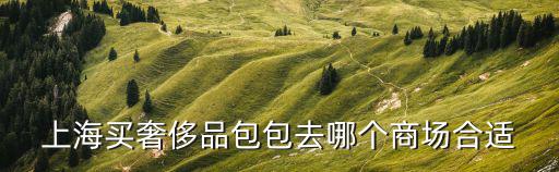 上海買奢侈品包包去哪個商場合適
