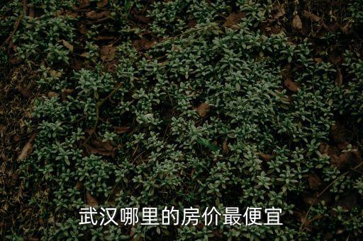 武漢哪里的房價最便宜