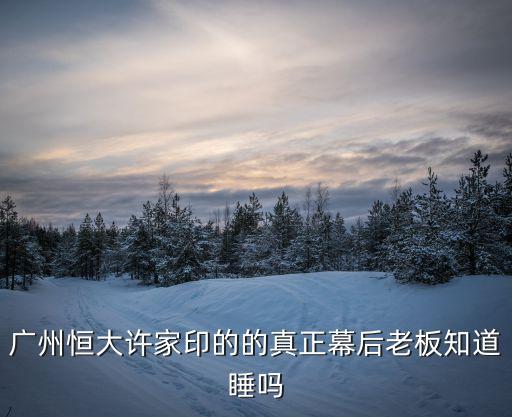 廣州恒大許家印的的真正幕后老板知道睡嗎