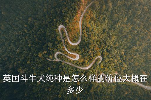 英牛適合多少度，英牛犬冬天適合多少度下生活