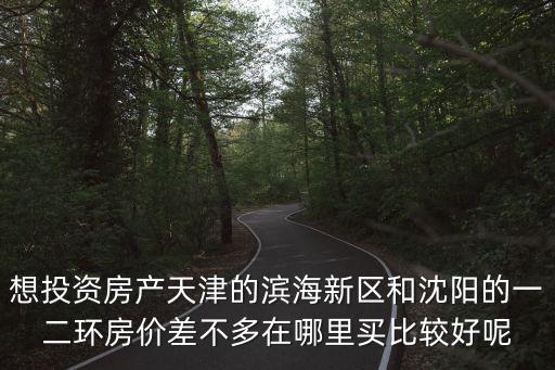 想投資房產天津的濱海新區和沈陽的一二環房價差不多在哪里買比較好呢