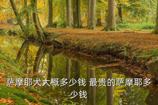 薩摩耶犬大概多少錢 最貴的薩摩耶多少錢