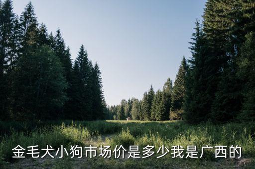 金毛犬小狗市場(chǎng)價(jià)是多少我是廣西的