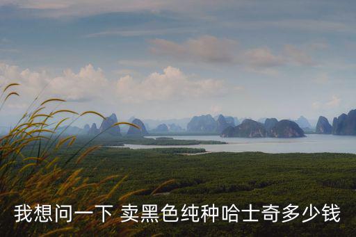我想問一下 賣黑色純種哈士奇多少錢