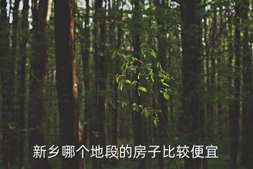 新鄉哪個地段的房子比較便宜