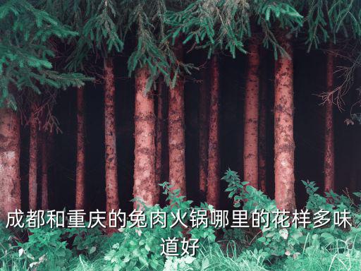 成都和重慶的兔肉火鍋哪里的花樣多味道好